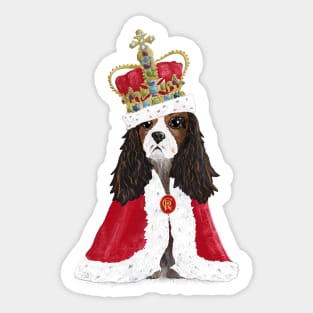 His Majesty King Charles Fun Coronation Souvenir on blue Sticker